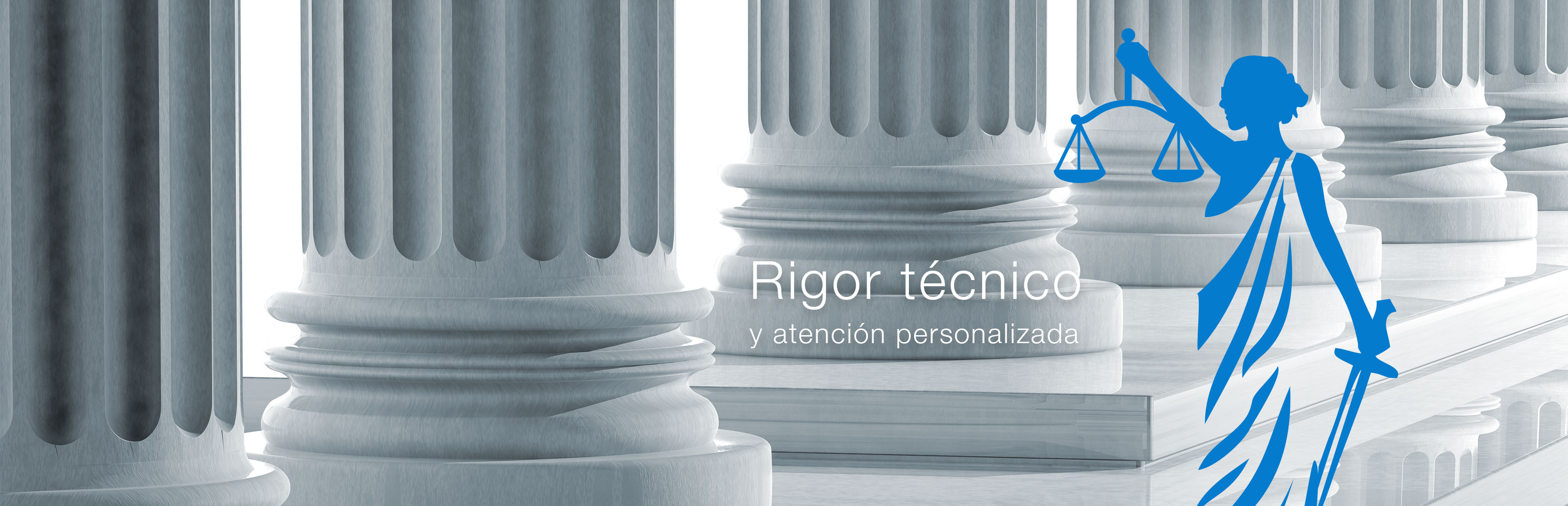 Rigor técnico defensa penal